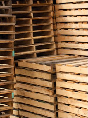 Download icon for wood pallet industry hazard mitigation whitlepaper | AIRPLUS Industrial